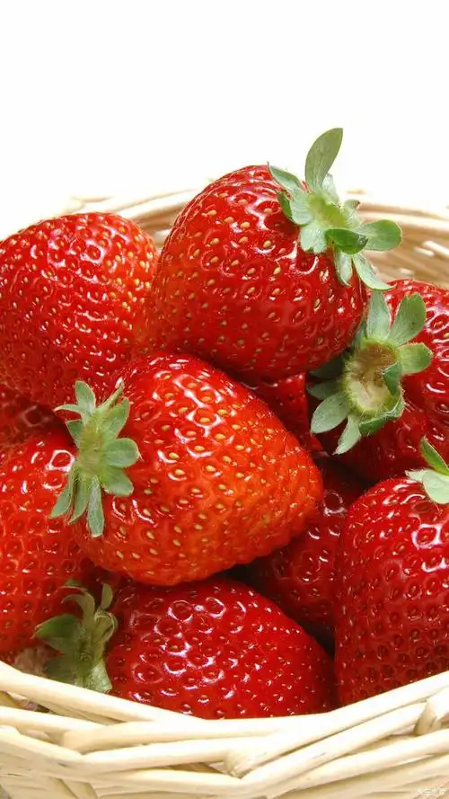 美味水果草莓分享