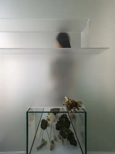 等候区一入门,冷冽前卫的水葱染实木地板正中央,长型玻璃盒漾着暖光