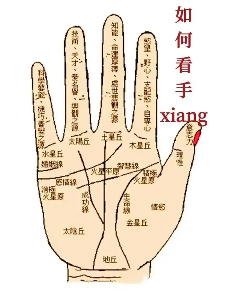 掌纹的秘密 为什么结婚后都信ming,手上说明了一切 你相信"命"