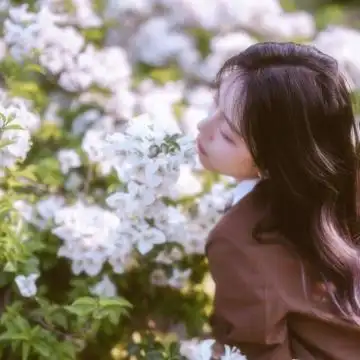 头像女生简单气质唯美清新