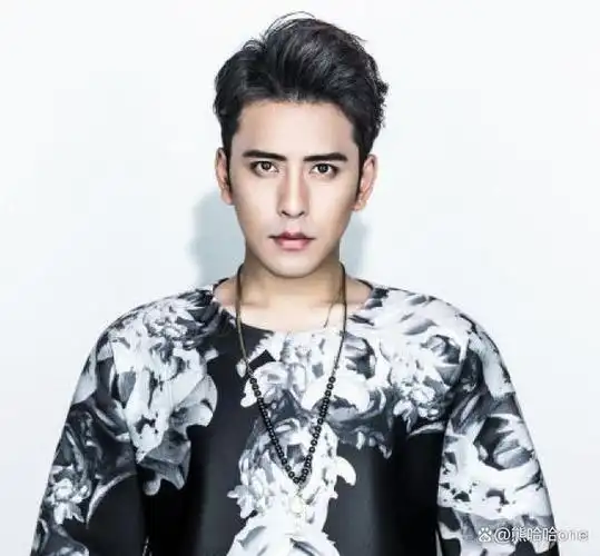 云南十大帅哥明星