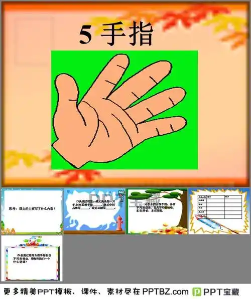 手指主要教案ppt