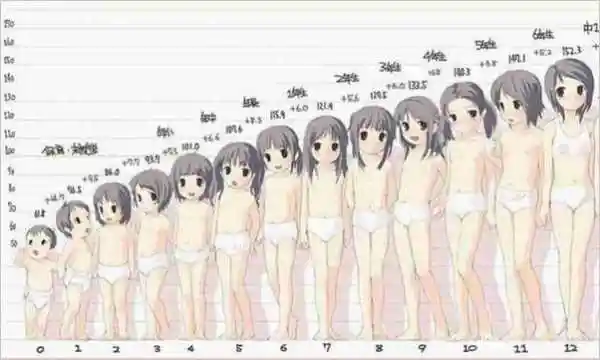 来源:互联网1,青春早期(tannerⅡ-期):从第二性征初现至月经初潮时止