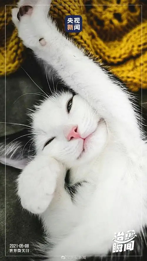 动物的超治愈瞬间##今天世界微笑日