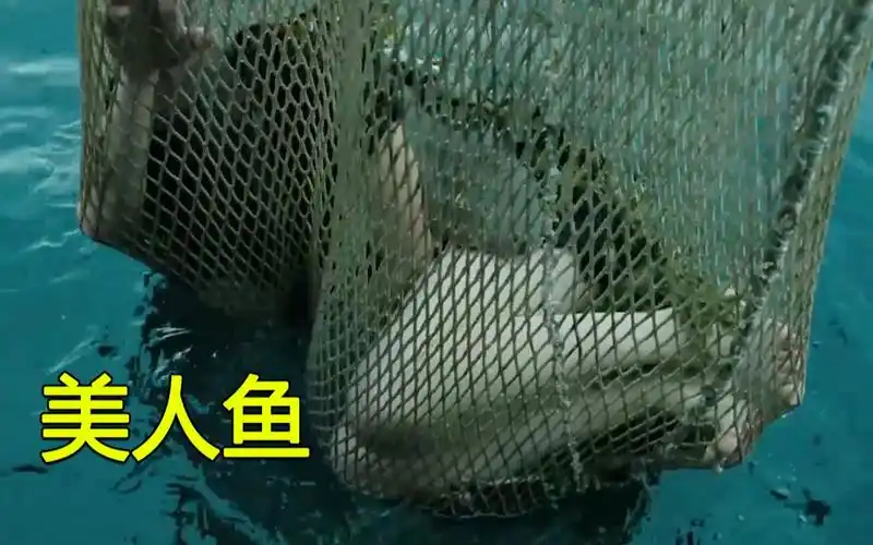 活动  渔夫捕到一条美人鱼,日夜带在身边,总是能捕到很多鱼,爱情电影