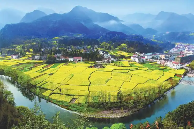 着眼长远,科学规划,合理布局美丽乡村建设