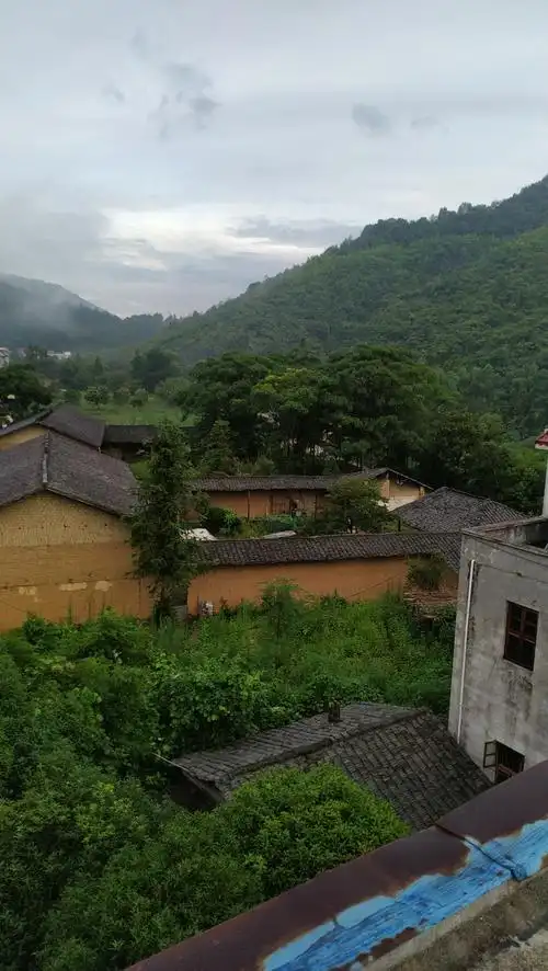 我是信丰县油山镇坑口村槽里小组,农村人,没有什么文化,在这里反应一