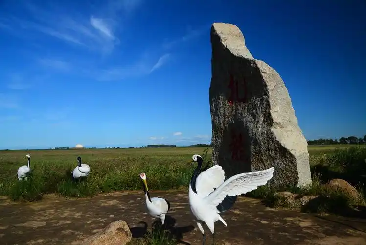 扎龙自然保护区