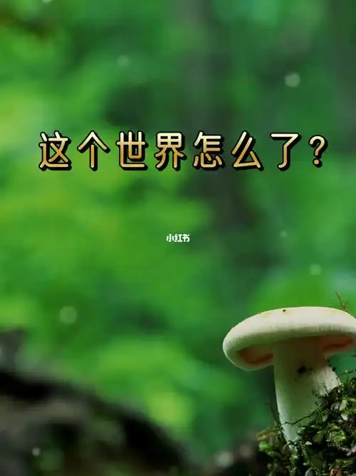 这个世界怎么了