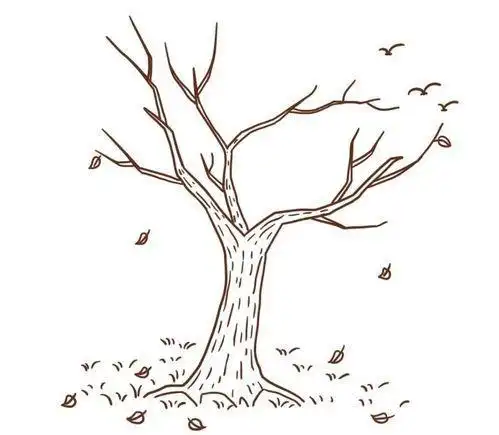 图片大全怎么画简笔画教程绘画吧-画画树枝藤蔓简笔画简笔画树枝树干