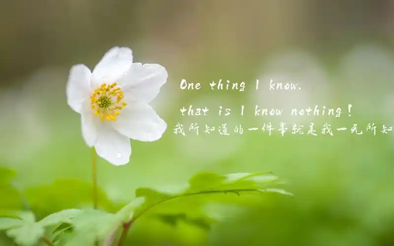 励志英语语录,高清图片,电脑桌面-壁纸族