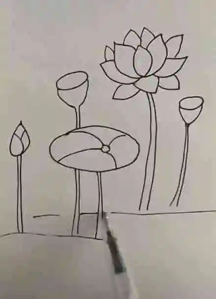 简笔画:出淤泥而不染,来一朵荷花