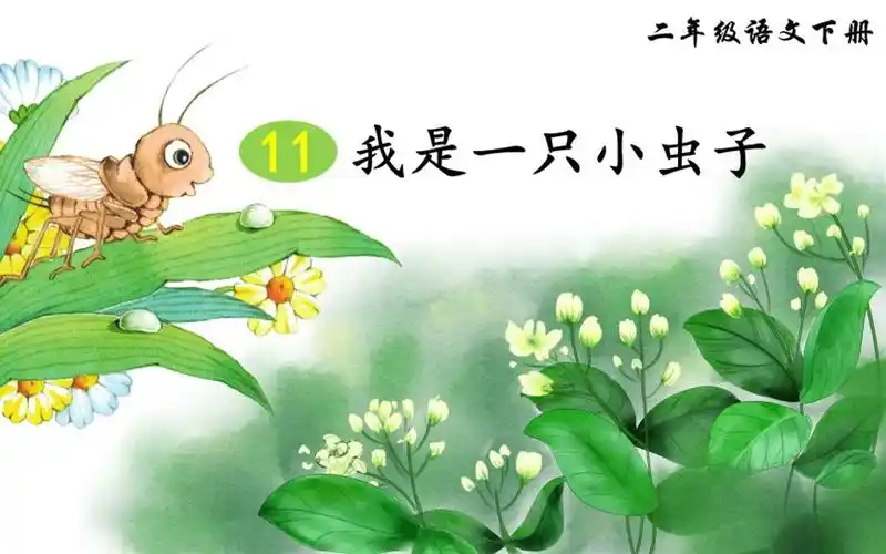 二年级语文下册课文11《我是一只小虫子》教学ppt课件设计