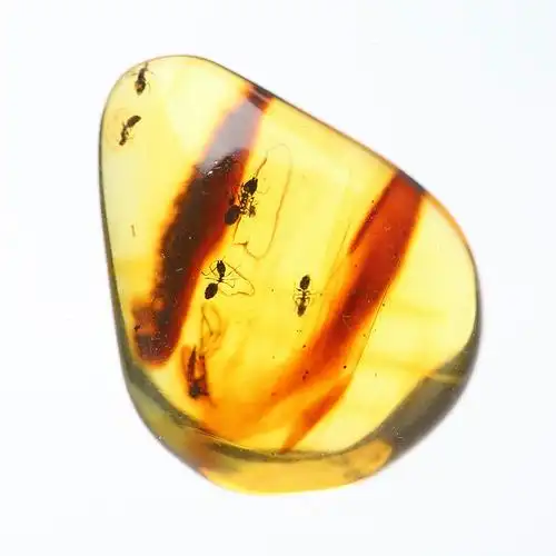 天然琥珀虫珀吊坠项链昆虫标本蜘蛛蚂蚁原石颈饰