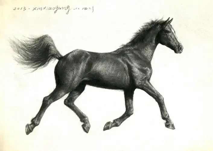 《奔马》(素描创作.2013.10)