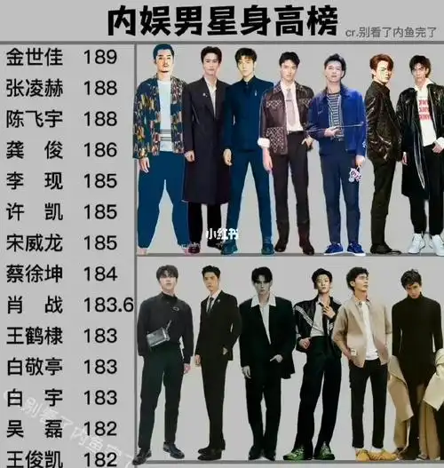 内娱  #王鹤棣  #王一博  #成毅  #张若昀