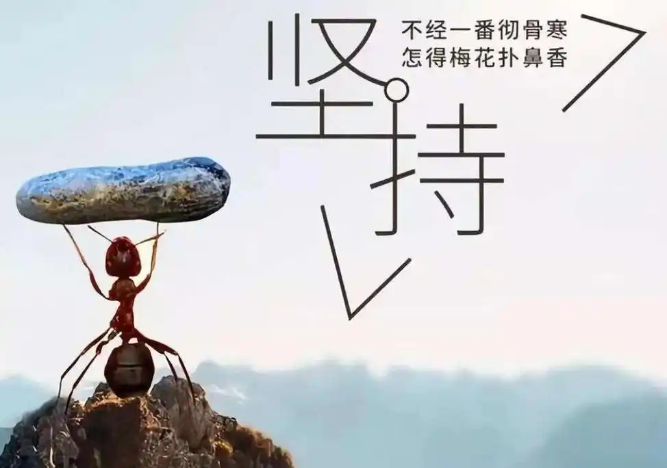 坚持的力量作文600字初中