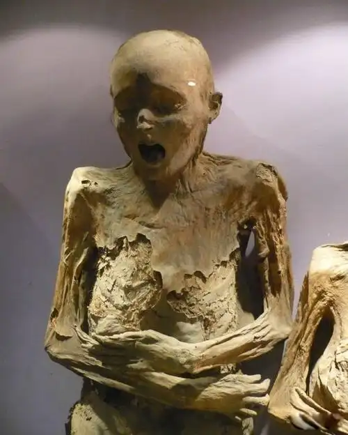 木乃伊是什么 是怎么回事怎么形成的