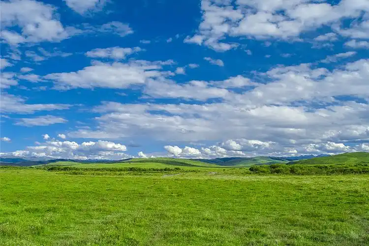 青藏高原若尔盖草地湿地夏季景观图片