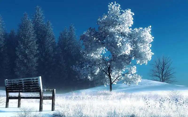 让人忧伤的唯美风景孤独长椅图片桌面壁纸