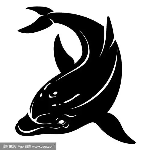 海豚黑白