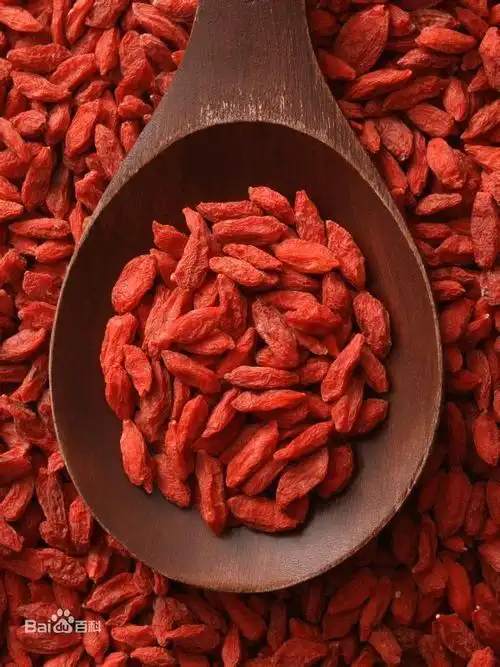 枸杞子图片_百度百科