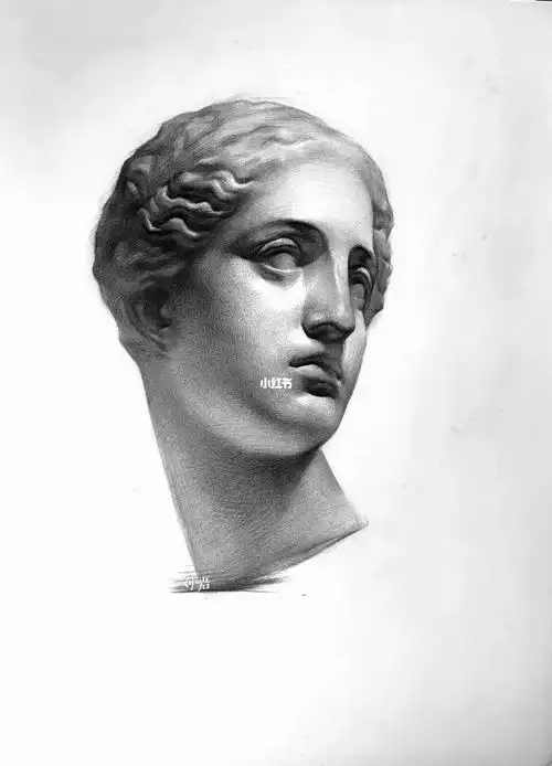 素描石膏像女