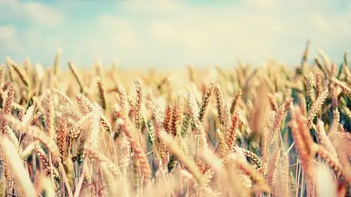 小清新壁纸30楼|"如果我被众人推倒了,你记得也推我一把 ,别因为我而