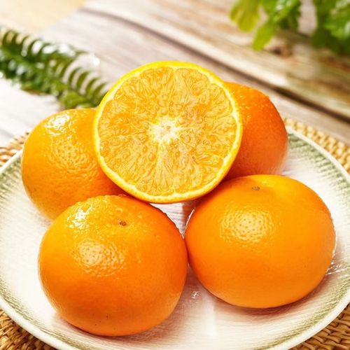 云南宾川沃柑大理高原新鲜蜜桔柑橘子应季水果5斤9斤现摘现发包邮