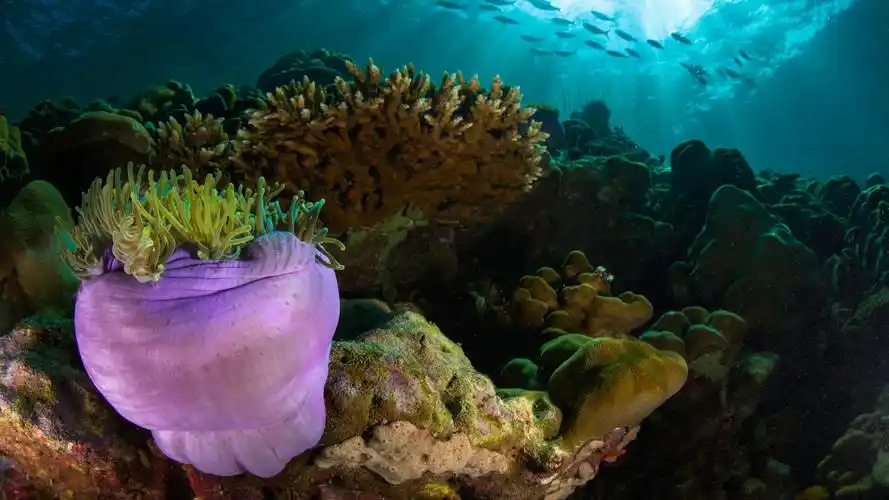 大海壁纸【12】(风景静态壁纸) - 静态壁纸下载 - 元气壁纸