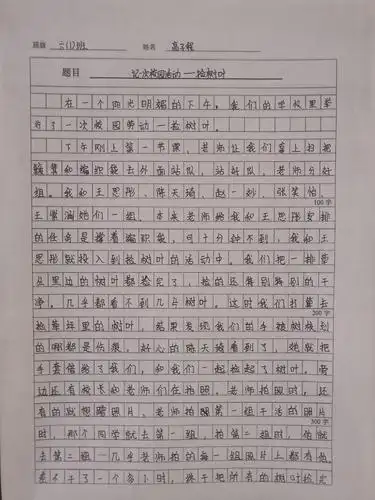 庆元旦 迎新年曹村联校优秀作文展