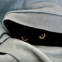 诡异的黑猫头像 诡异恐怖黑猫头像_微信头像图片大全