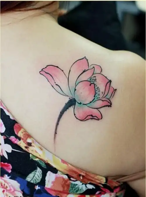 女性肩部唯美好看的彩色莲花纹身图案图片