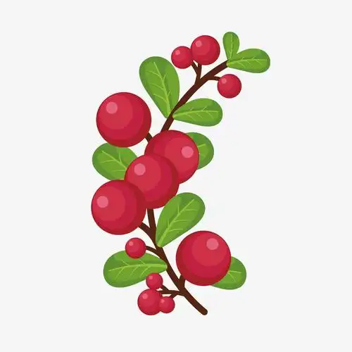 卡通山楂矢量图下载