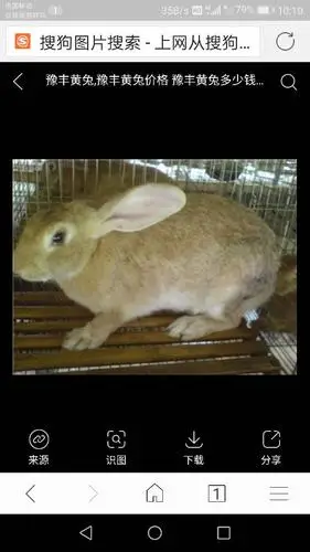 3405获赞数:2557lv13 擅长:暂未定制 向ta提问私信ta 我看是豫丰黄兔