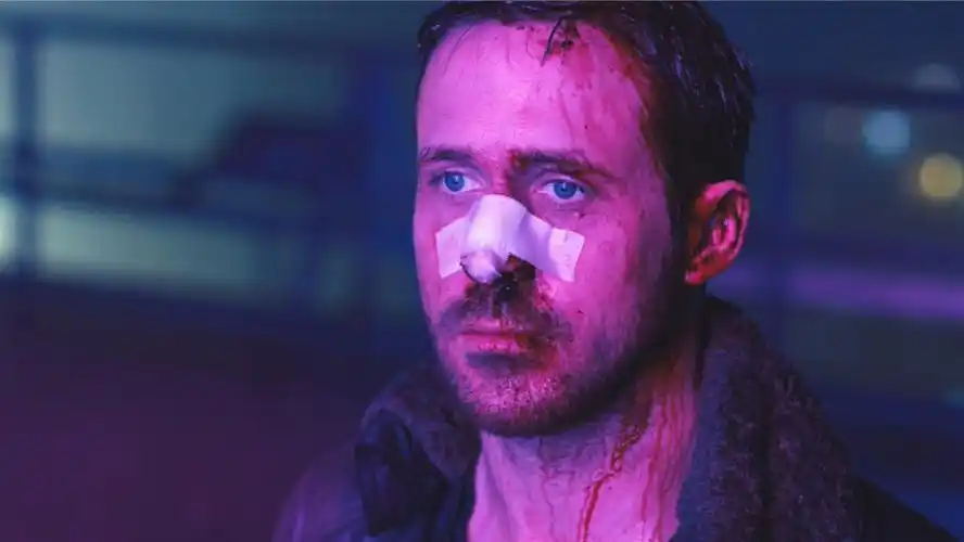 【蓝光】银翼杀手2049 (2017)