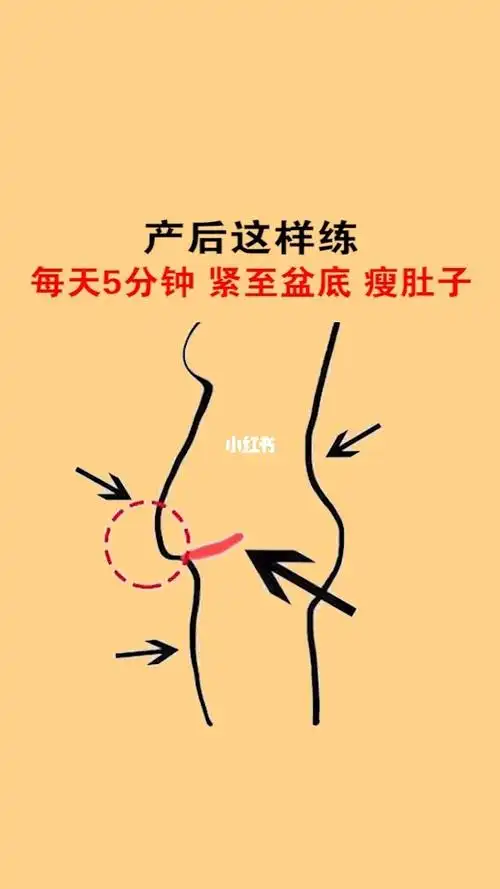 产后这样练收紧腹部紧至盆底肌产后