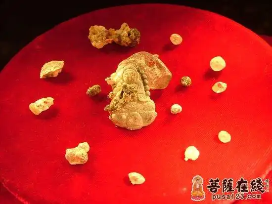 舍利2500年前释迦牟尼佛涅盘,弟子们在火化他的遗体时从灰烬中得到了