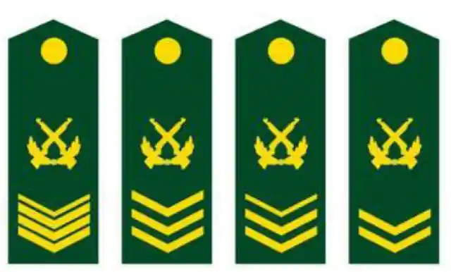 火箭军,中国人民解放军新的军种,由第二炮兵更名而来.