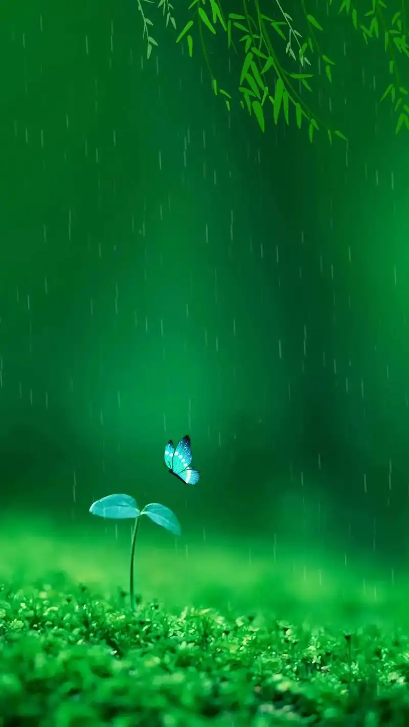 分享一组绿色护眼壁纸#治愈系壁纸 #护眼壁纸 #手机壁纸 # - 抖音