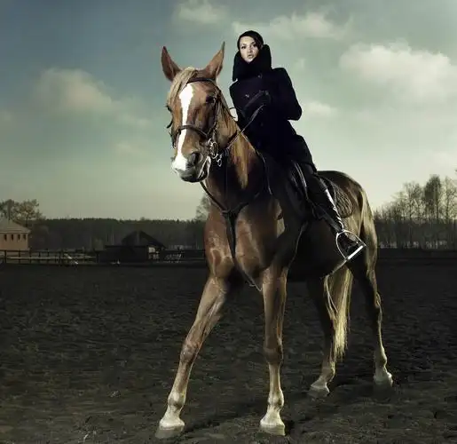 美女骑马照,你最喜欢哪一个?|美女|留言_新浪新闻