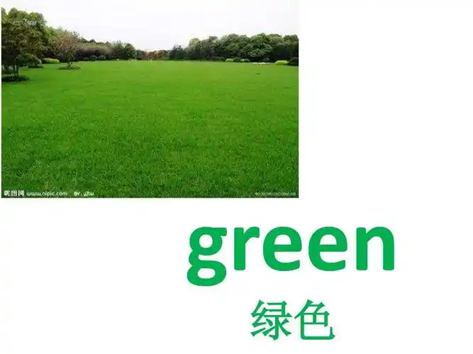 colors(基本颜色英语单词)ppt