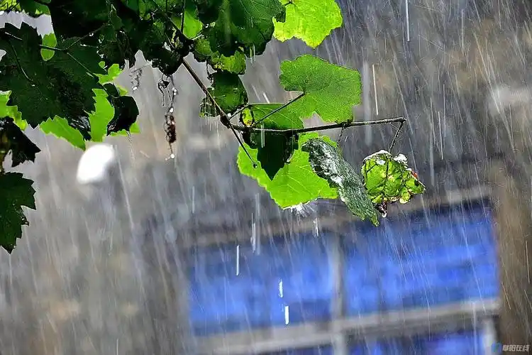 倾盆大雨虽"烦人",但是雨中的风景很迷人