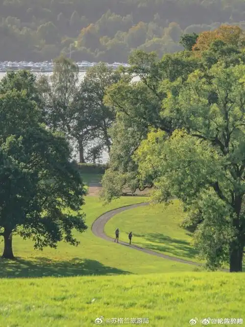 690_920竖版 竖屏