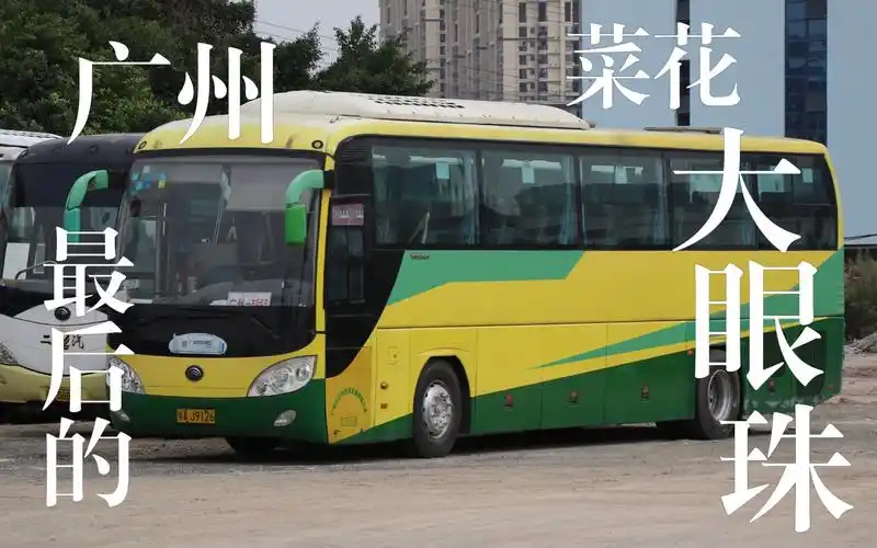 广州原三汽经济发展有限公司最后的菜花涂装大眼珠zk6120hy19退役纪念