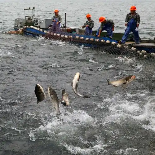 千岛湖巨网捕鱼