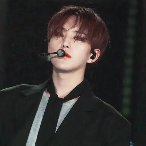 微信头像seventeen权顺荣