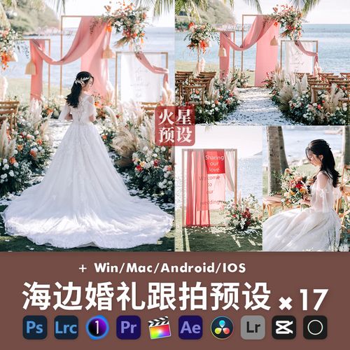 lr预设户外海边婚礼跟拍ps清新奢华草坪人像滤镜pr/fcpx飞思lut