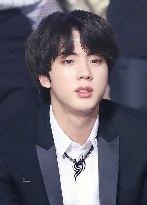jin 金硕珍 bts 防弹少年团 20190106 第33届韩国金唱片专辑部门