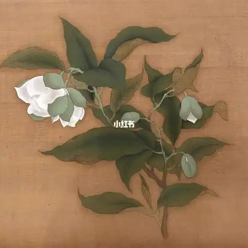 宋代花鸟小品宋故宫本扇面画夜合花图